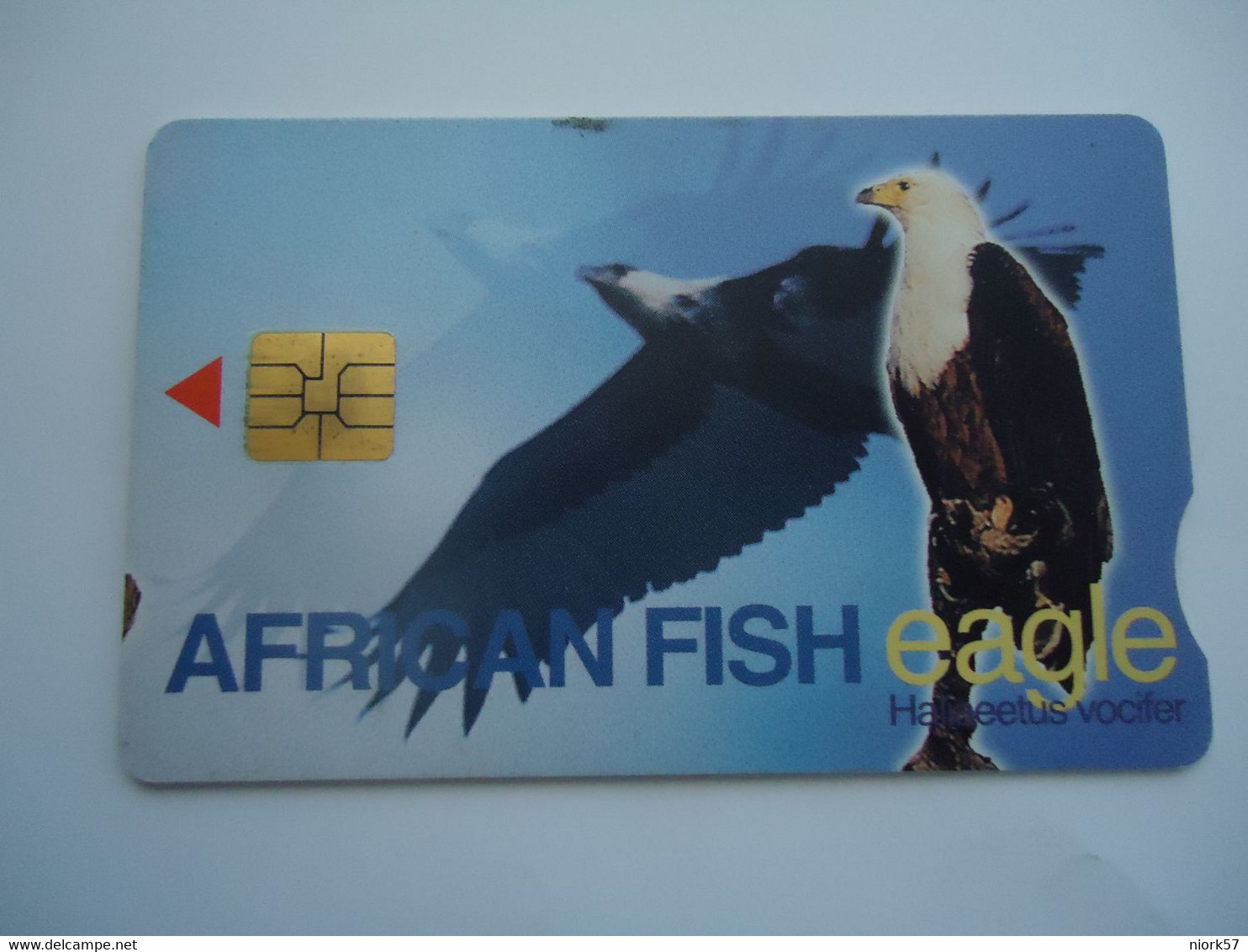 SOUTH AFRICA  USED  CARDS   BIRD BIRDS  EAGLES - Eagles & Birds Of Prey