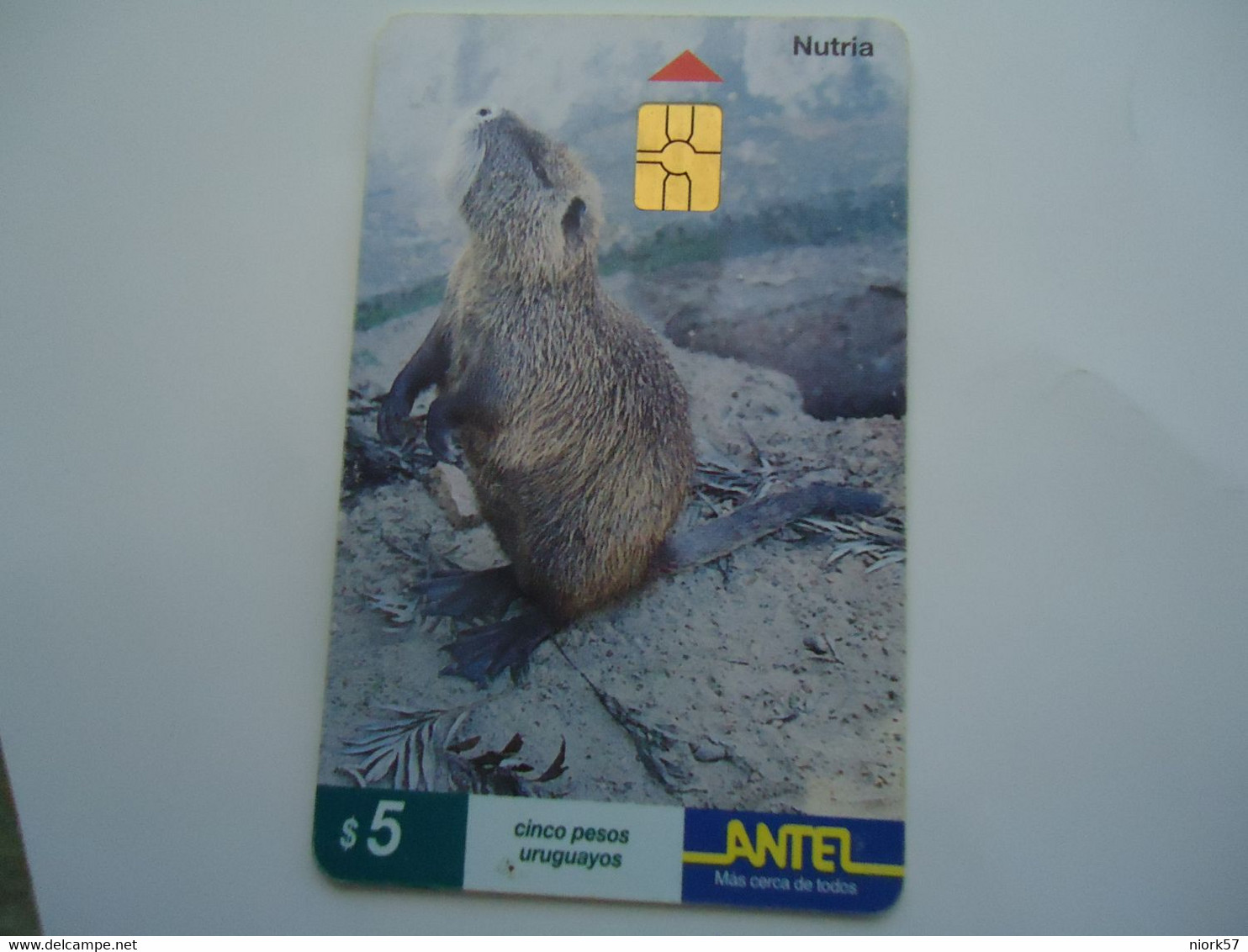 URUGUAY  USED CARDS ANIMALS - Otros & Sin Clasificación