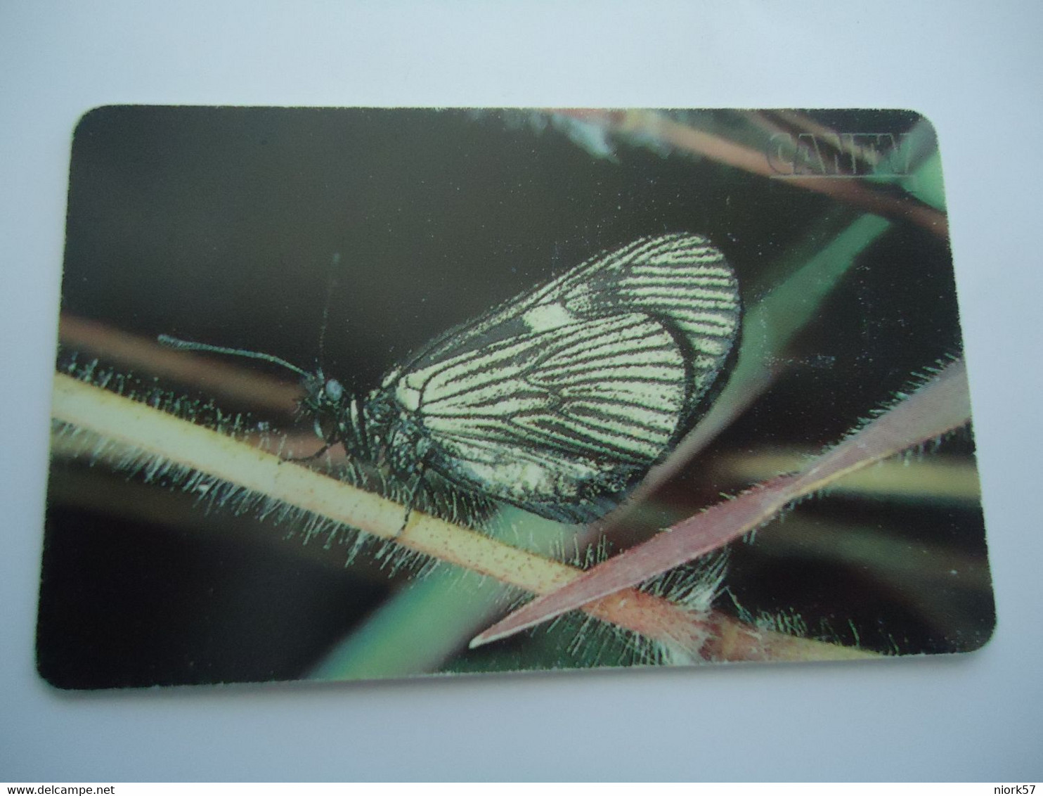 VENEZUELA USED CARDS BUTTERFLIES - Butterflies