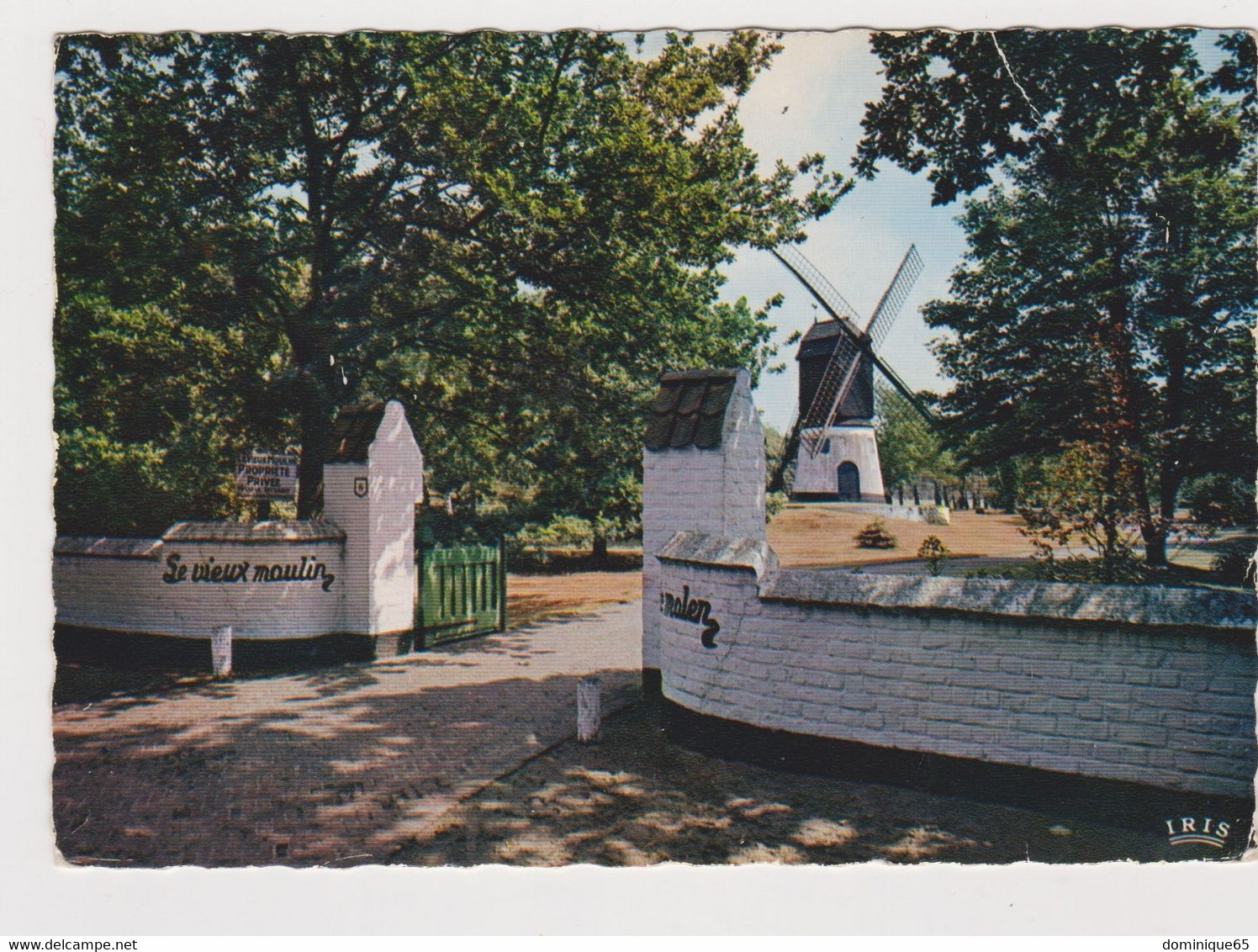 Knokke Le Zoute Oude Molen Moulin - Knokke