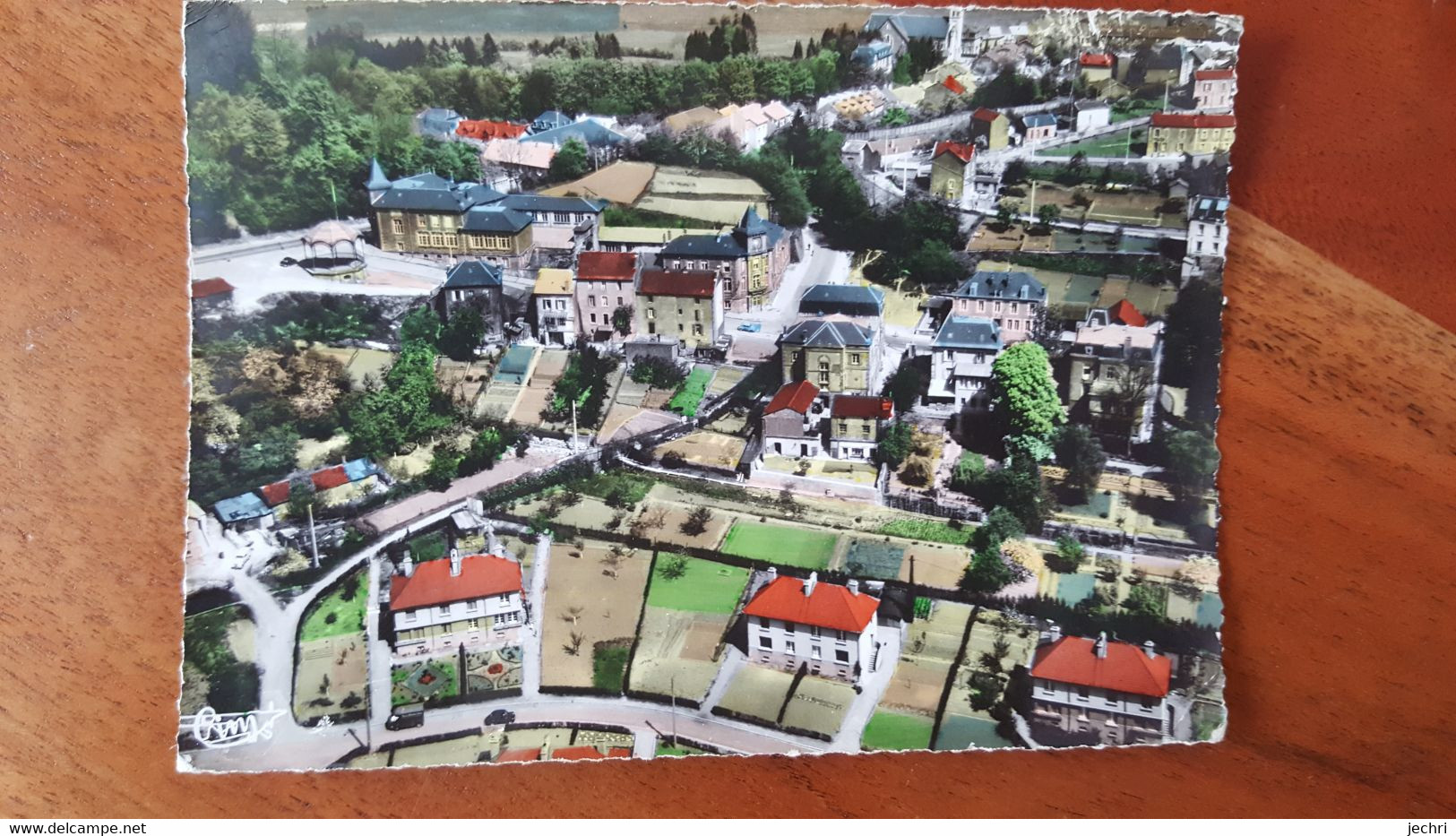 En Avion Au Dessus De Mont St Martin , Vue Aerienne , Au Premier Plan La Banie - Mont Saint Martin