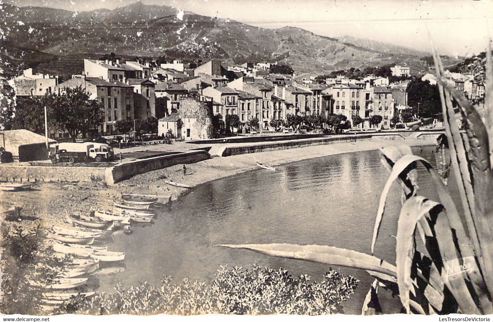 FRANCE - 66 - COLLIOURE - La Plage Du Faubourg - Carte Postale Ancienne - Collioure