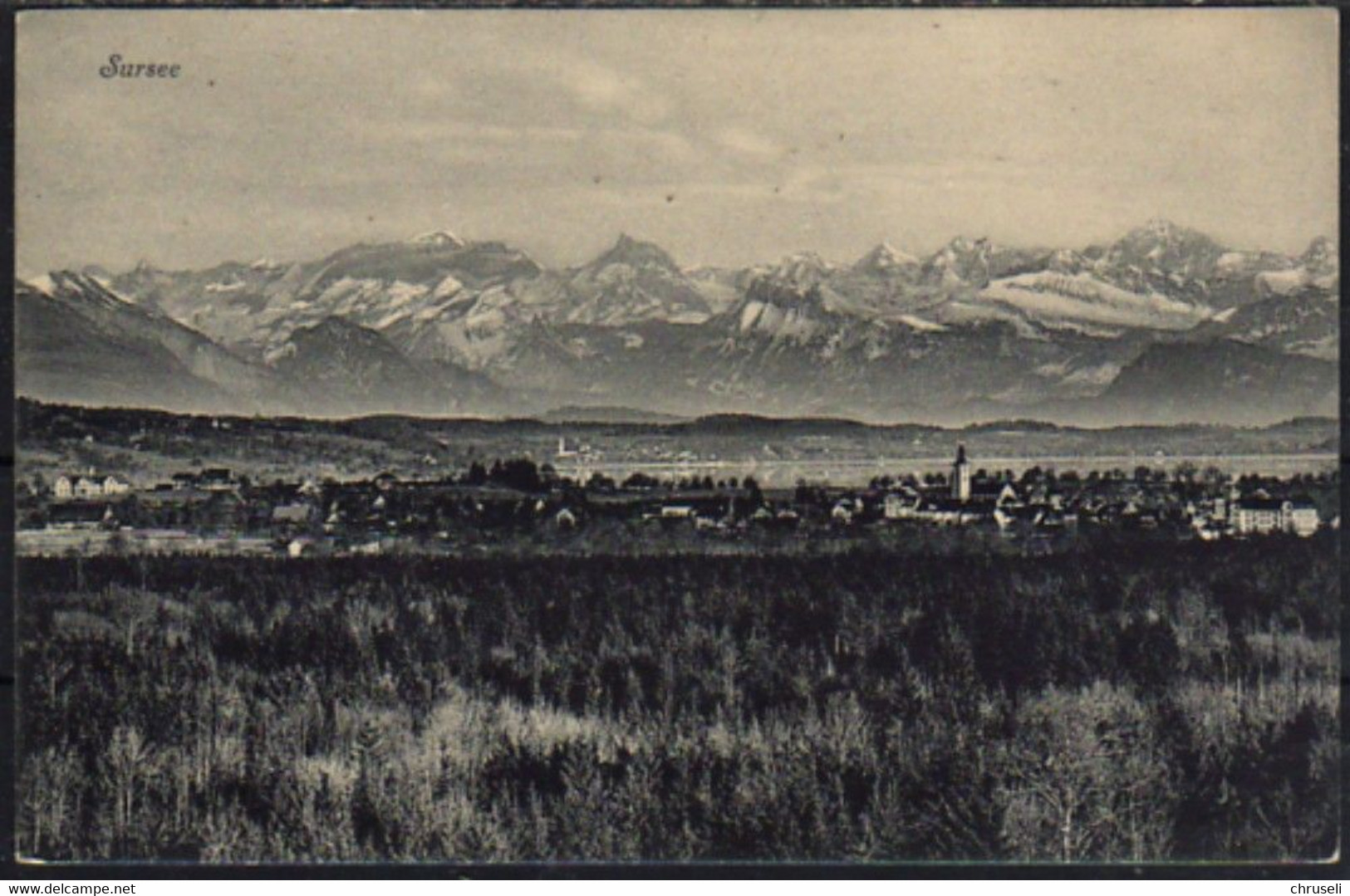 Sursee  Panorama Mit Den Bergen - Sursee