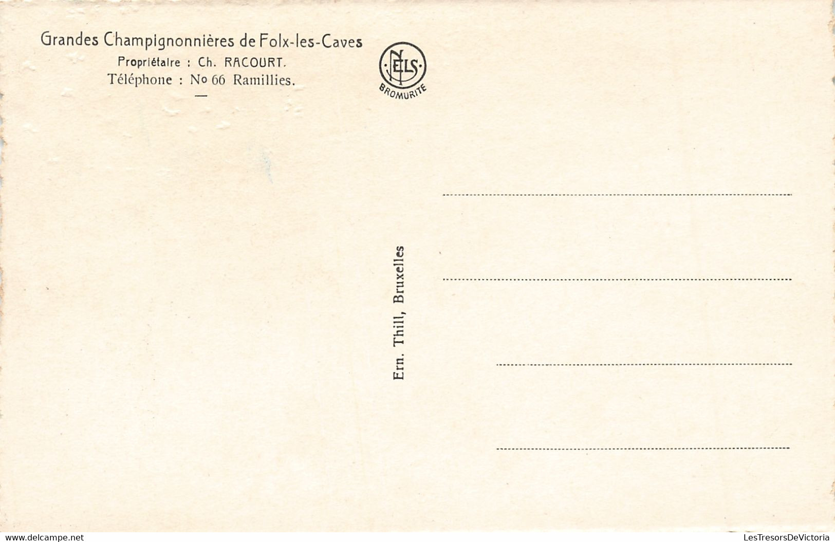 Belgique - Lot De 10 Cartes - Grandes Champignonnières De Folx Les Caves - Ed. Nels - Bromurite - C. Postale Ancienne - Orp-Jauche