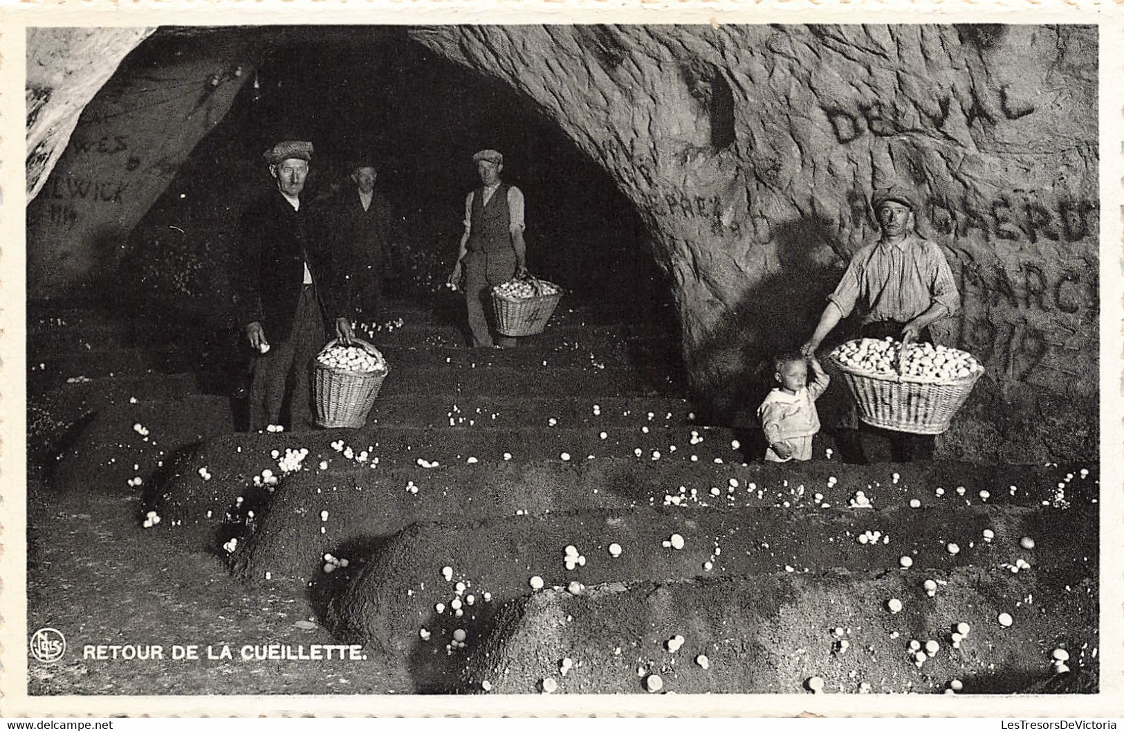 Belgique - Lot de 10 Cartes - Grandes Champignonnières de Folx les caves - Ed. Nels - Bromurite - C. Postale Ancienne