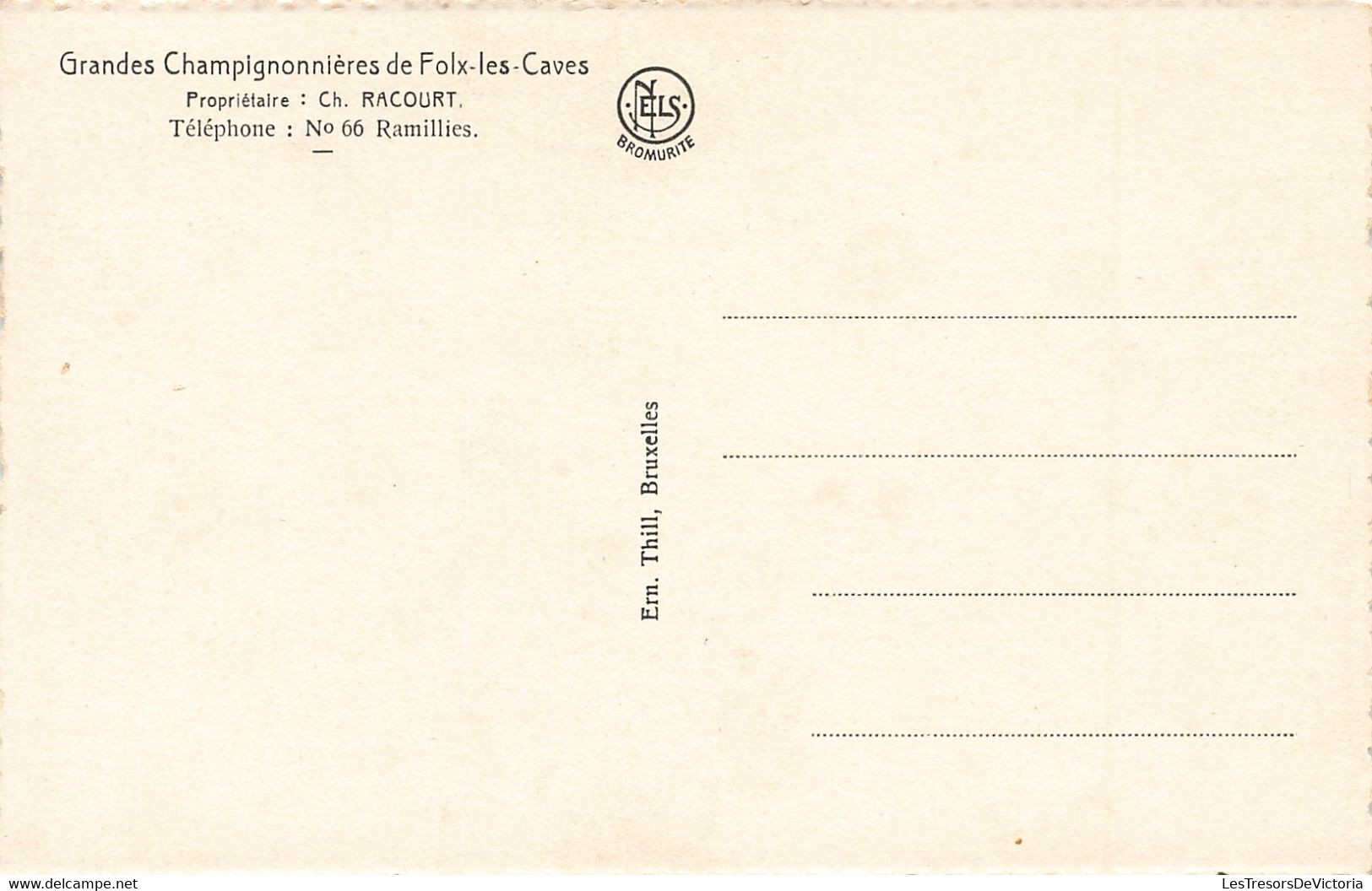 Belgique - Lot de 10 Cartes - Grandes Champignonnières de Folx les caves - Ed. Nels - Bromurite - C. Postale Ancienne