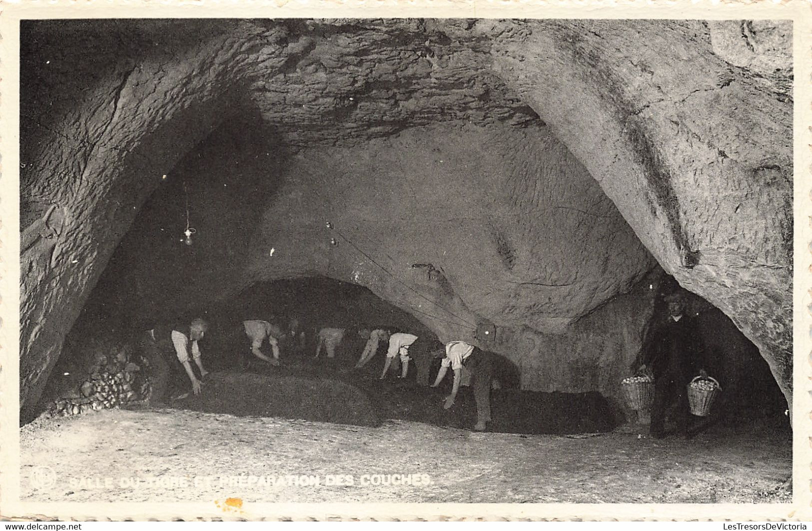 Belgique - Lot de 10 Cartes - Grandes Champignonnières de Folx les caves - Ed. Nels - Bromurite - C. Postale Ancienne