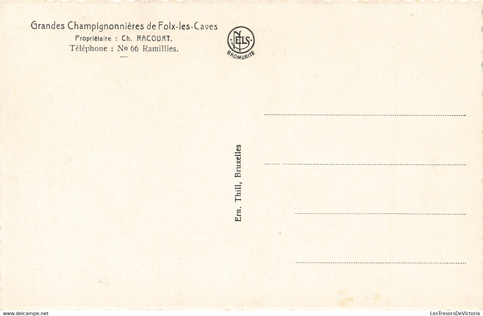 Belgique - Lot de 10 Cartes - Grandes Champignonnières de Folx les caves - Ed. Nels - Bromurite - C. Postale Ancienne