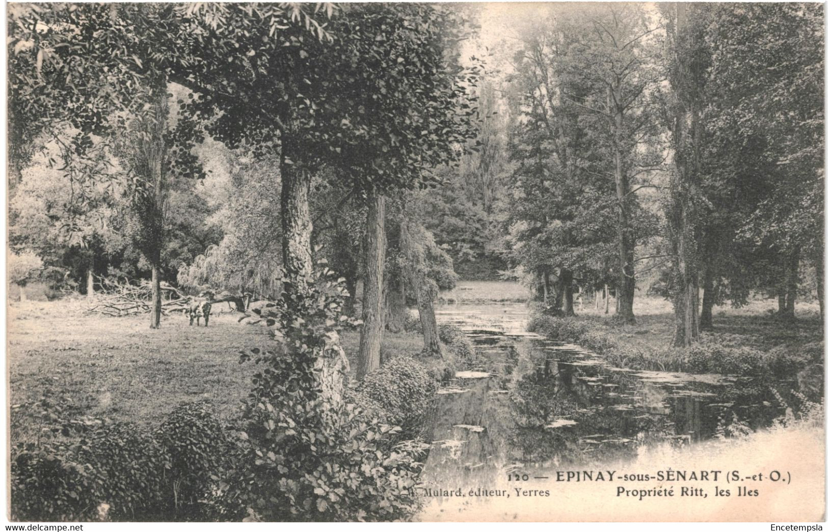 CPA Carte Postale France Épinay-sous-Sénart  Propriété Ritt Les Iles 1907 VM62770 - Epinay Sous Senart