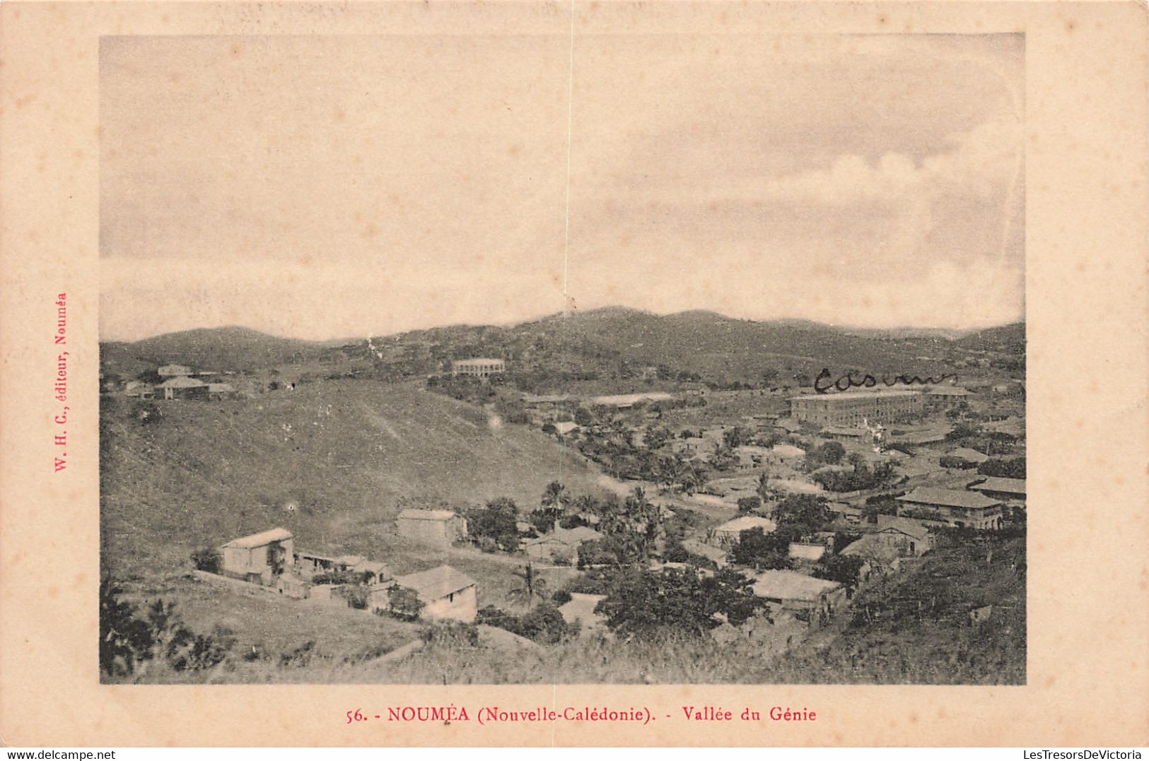 Nouvelle Calédonie - Nouméa - Vallée Du Génie - Panorama - Edit. W.H.C. - Carte Postale Ancienne - Nouvelle-Calédonie