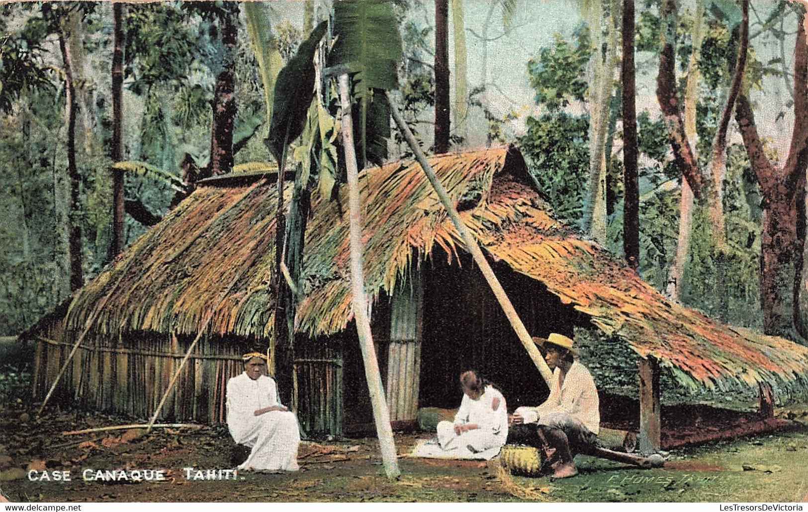 Tahiti - Case Canaque - Colorisé - Animé  Palmier - Carte Postale Ancienne - Tahiti