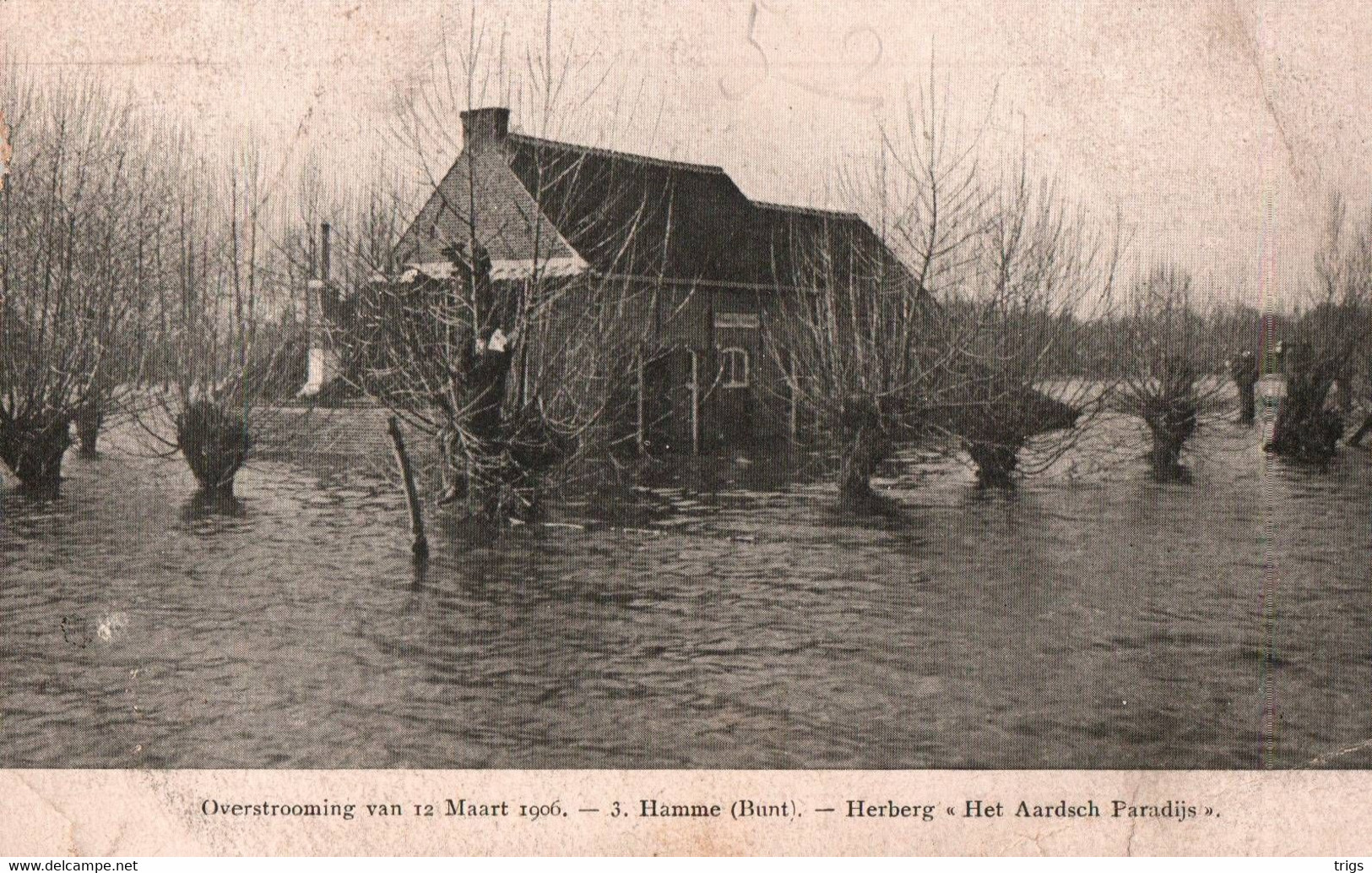 Hamme (Bunt) (Overstrooming Van 12 Maart 1906) - Herberg "Het Aardsch Paradijs" - Hamme