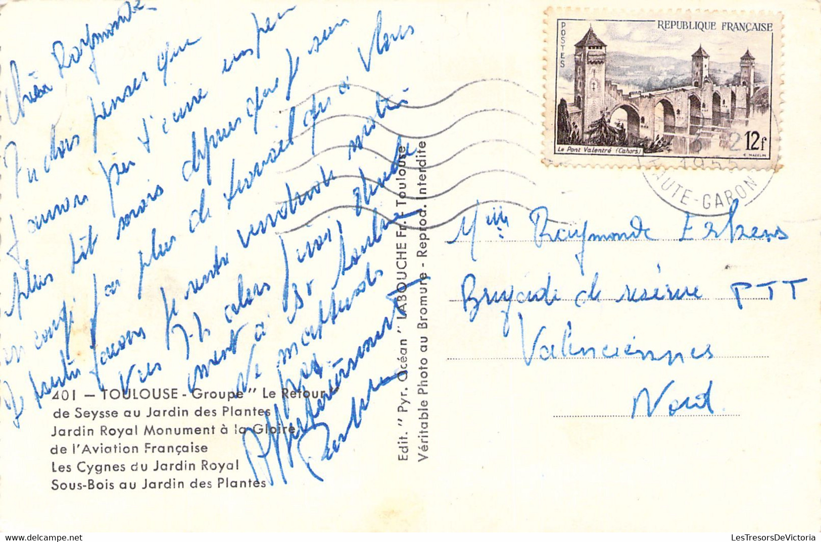 FRANCE - 31 - TOULOUSE - Les Jardins - Cygnes - Carte Postale Ancienne - Toulouse