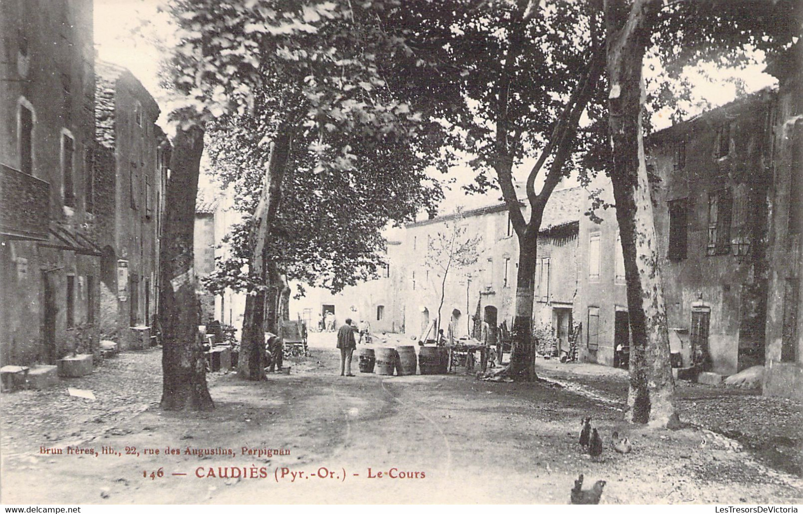 FRANCE - 66 - CAUDIES - Le Cours - Poule - Carte Postale Ancienne - Andere & Zonder Classificatie