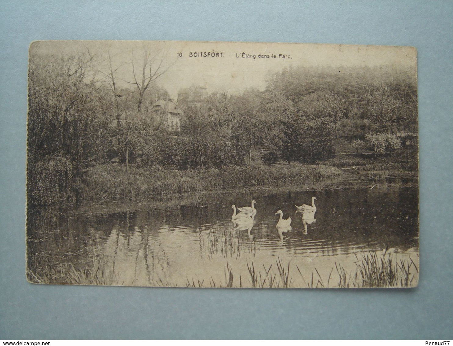 Bruxelles - Boitsfort - L'Etang Dans Le Parc - Watermaal-Bosvoorde - Watermael-Boitsfort