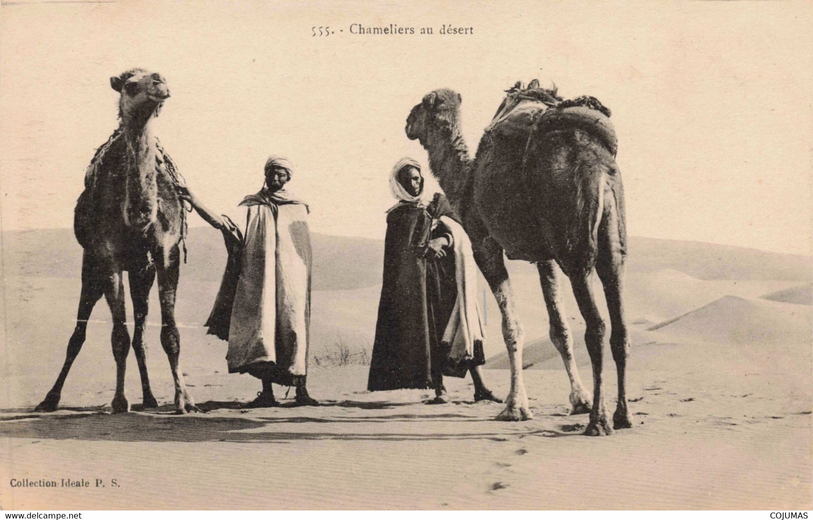 ALGERIE - S09042 - Sahara - Chameliers Au Désert - L1 - Hommes