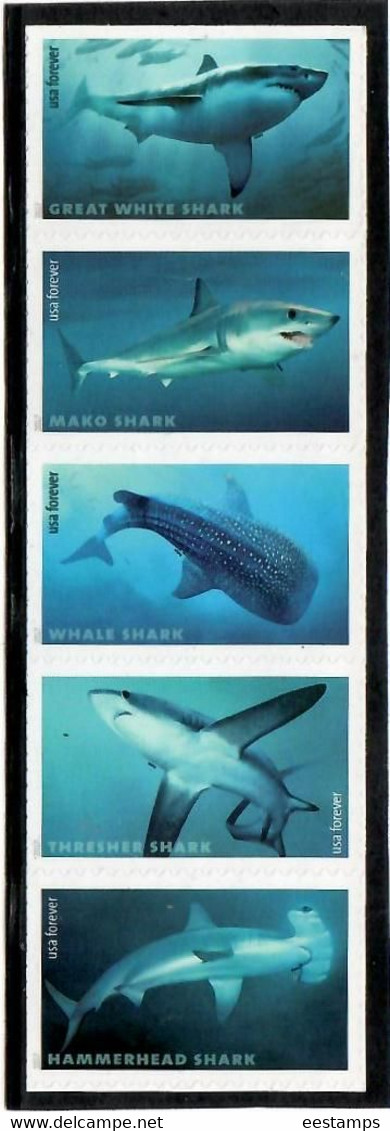 United States 2017 .  Sharks, Fish . 5v. - Unused Stamps