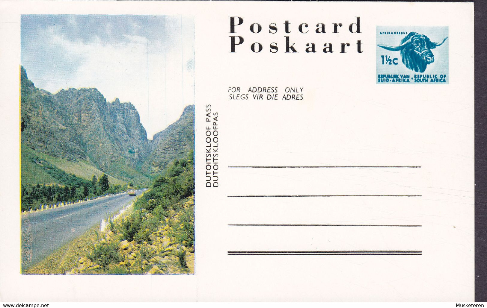 South Africa Postal Stationery Ganzsache Entier 1½c. Afrikansebul Bull Dutoitskloof Pass Cachet (Unused) - Covers & Documents