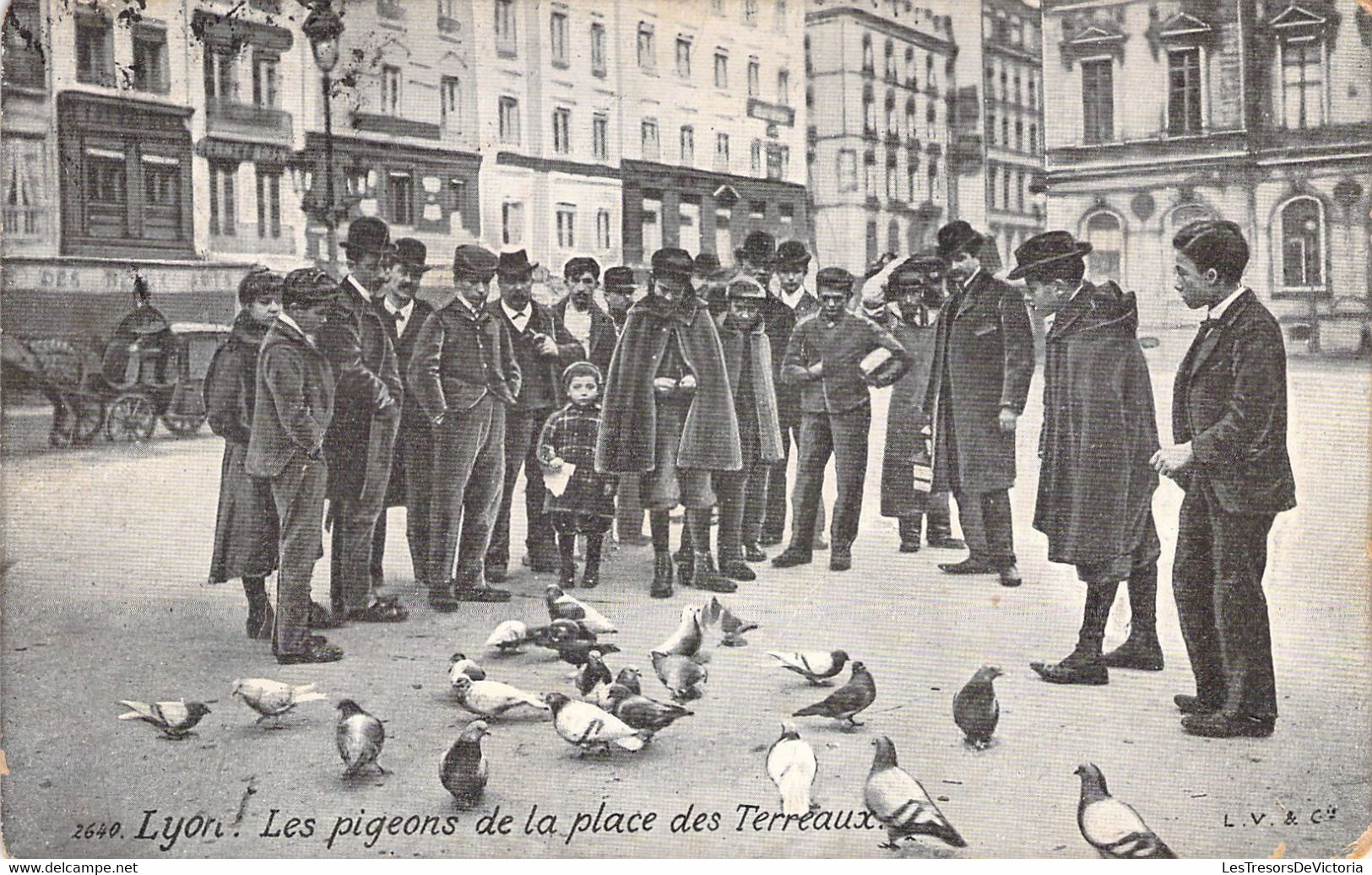 FRANCE - 69 - LYON MINIMES - Les Pigeons De La Place Des Terreaux - Carte Postale Ancienne - Other & Unclassified