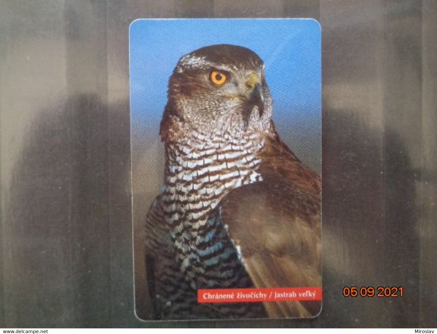 SLOVENSKO  - LARGE HAWK   50 000  PIECES - Eagles & Birds Of Prey