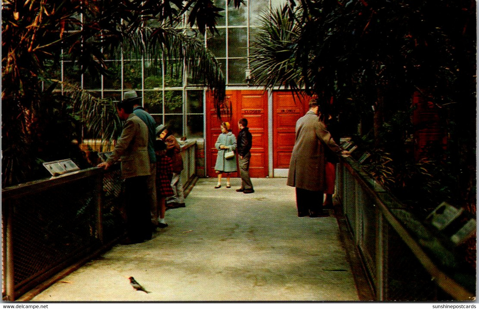 Pennsylvania Pittsburgh West Park Conservatory-Aviary Interior View - Pittsburgh