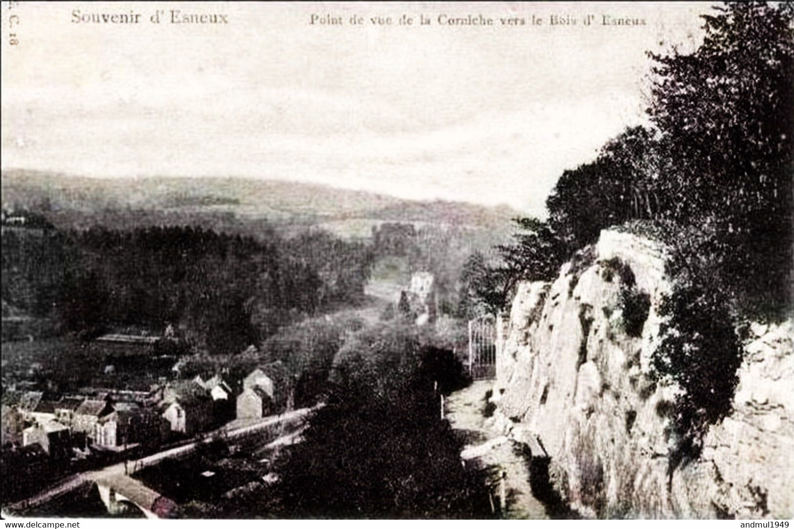 Souvenir D'ESNEUX - Point De Vue De La Corniche Vers Le Bois D'Esneux - Carte Précurseur N'ayant Pas Circulé - Esneux