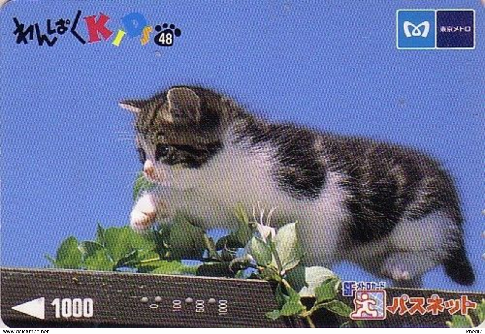 Carte Prépayée JAPON / Série KIDS 2 - ANIMAL - CHAT 48/51 - CAT JAPAN Prepaid Metro Ticket Card - KATZE Karte - Cats