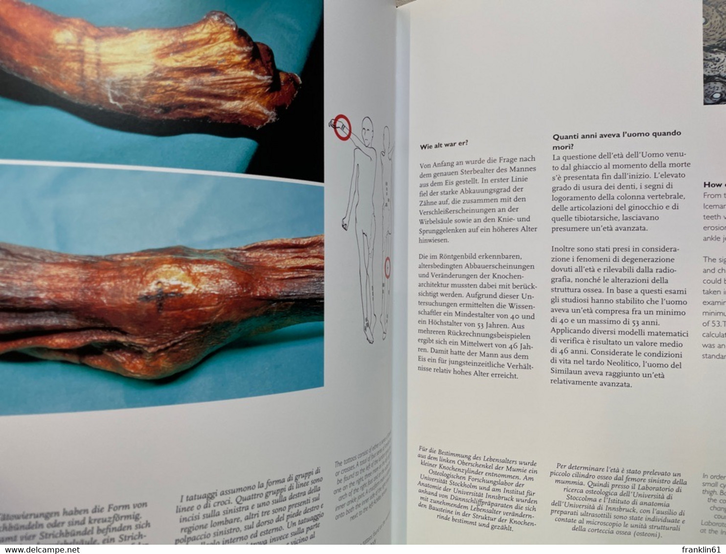 Faszination Jungsteinzeit.  Der Mann Aus Dem Eis. - Archäologie