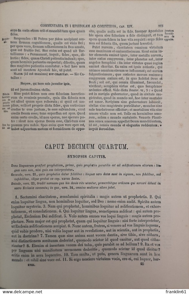 Die 14 Briefe Pauli. Commentaria In Scriptum Sacram. - Autres & Non Classés