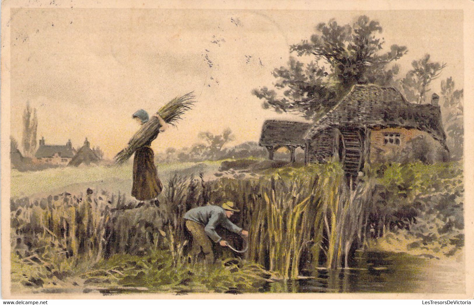 AGRICULTURE - CULTURE - Fauchage - Illustration Non Signée - Carte Postale Ancienne - Culture