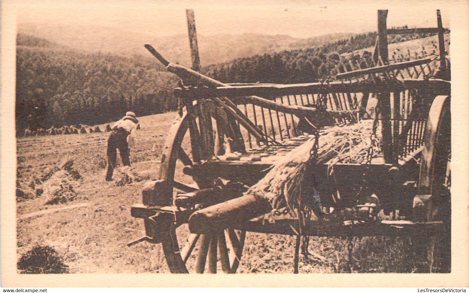 AGRICULTURE - CULTURE - Ardennes Belges - Le Travail De La Moisson En Haute Ardenne - Carte Postale Ancienne - Landbouw