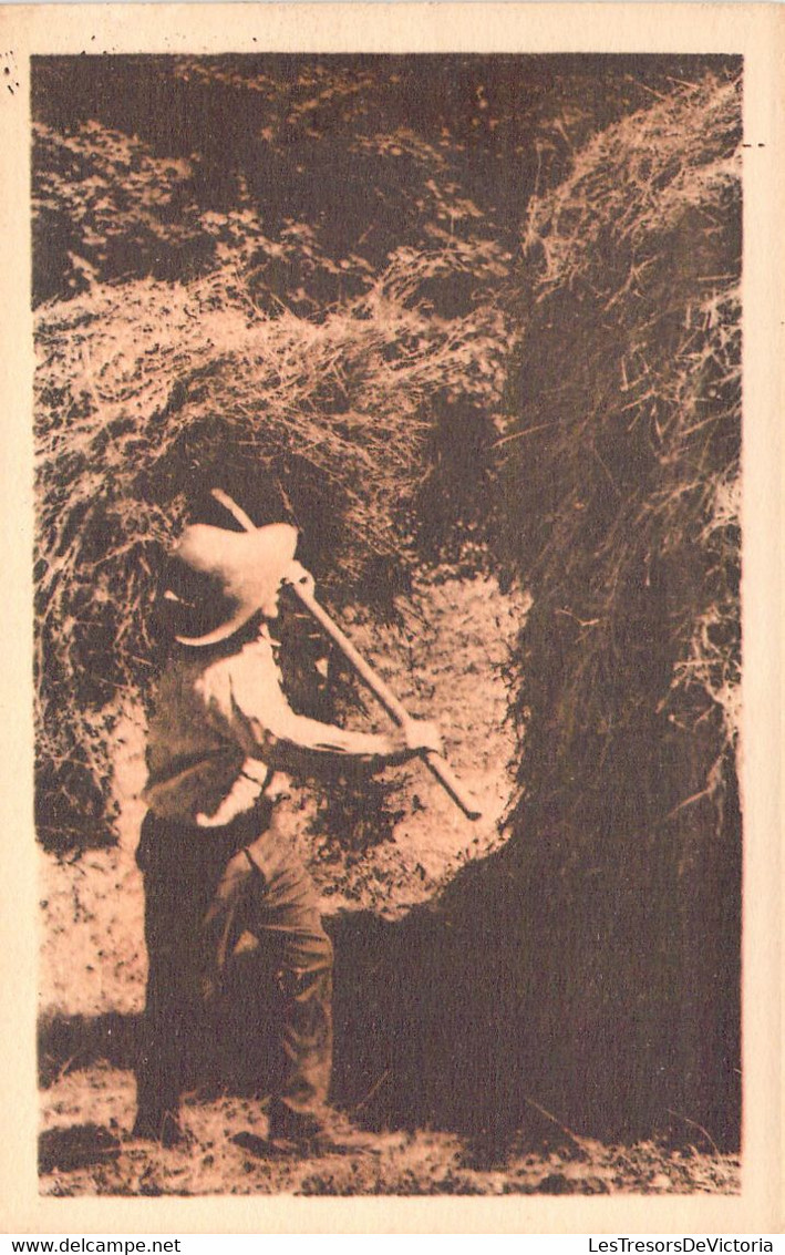 AGRICULTURE - CULTURE - Ardennes Belges - La Fenaison - Carte Postale Ancienne - Landwirtschaftl. Anbau