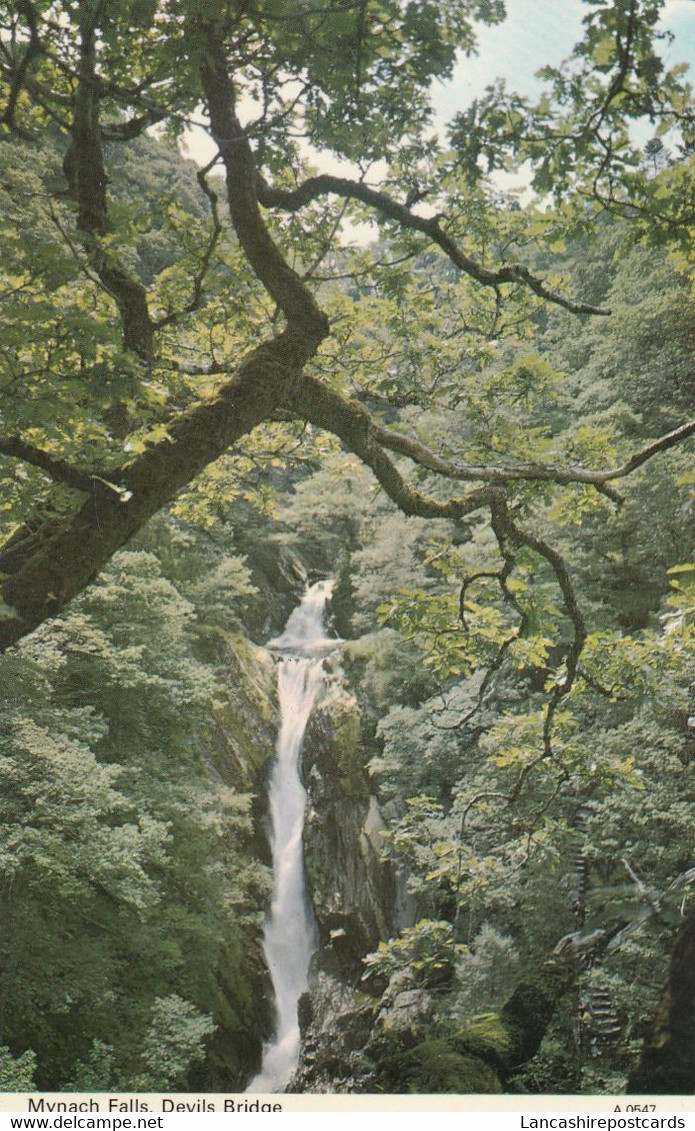 Postcard Mynach Falls Devils Bridge Wales My Ref B14687 - Cardiganshire