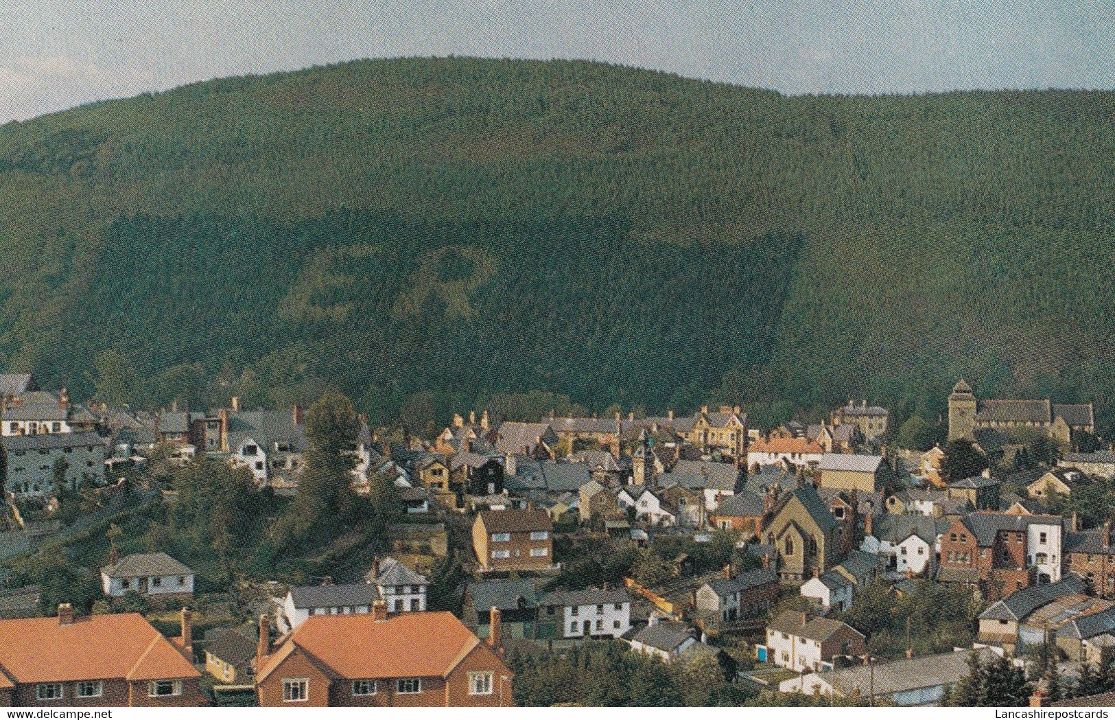 Postcard  Knighton From Ffydd Wood [ Topiary Interest ]  My Ref B14690 - Radnorshire