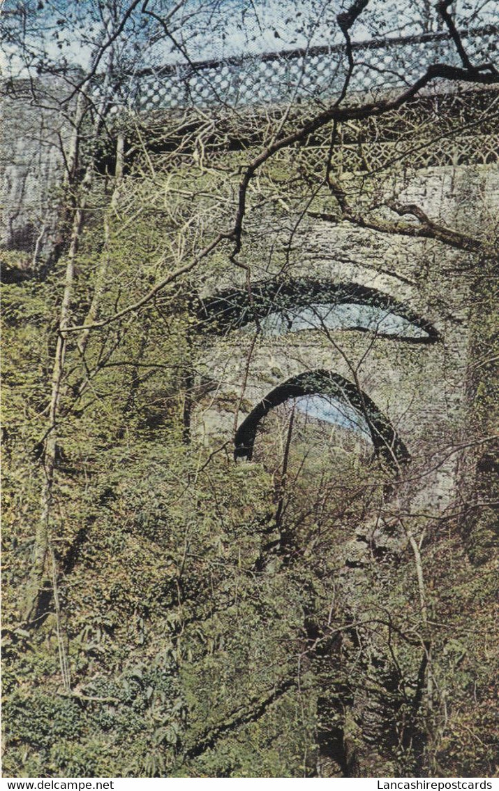 Postcard  Devil's Bridge Cardiganshire My Ref B14691 - Cardiganshire