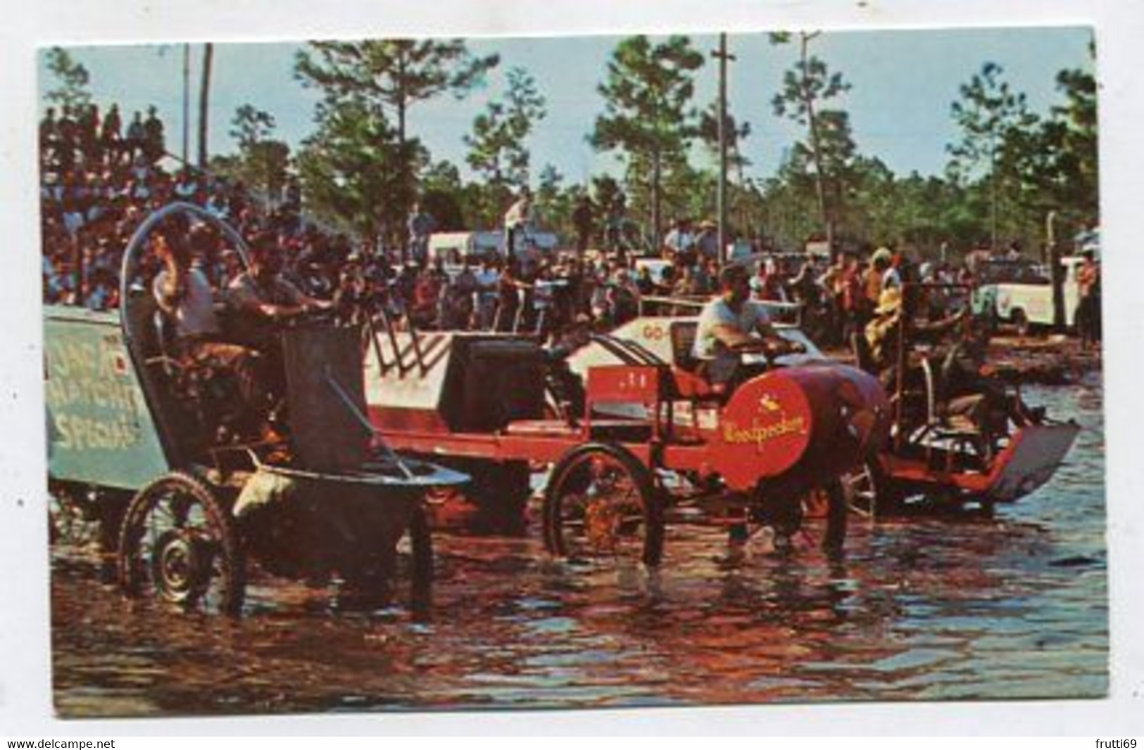 AK 111390 USA - Florida - Naples - Colorful Swamp Buggis - Naples