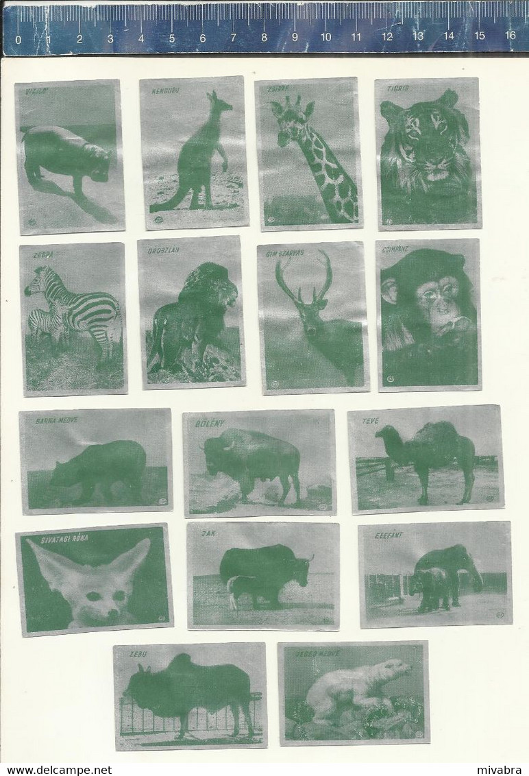 MAMMALS HIPPOPOTAMUS ZEBRA GIRAFFE KANGAROO TIGER ELEPHANT BISON ZEBU POLAR BEAR YAK LION ETC... MATCHBOX LABELS HUNGARY - Matchbox Labels