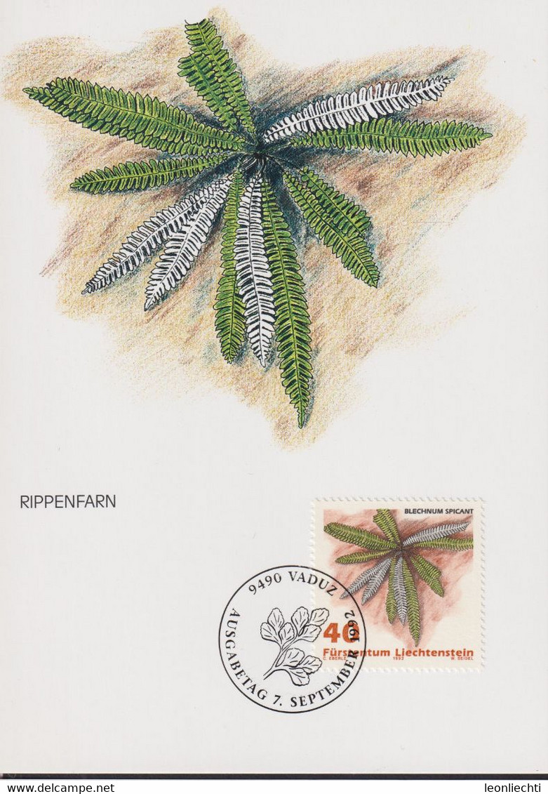 1992 Liechtenstein MC 109  Mi:LI 1045 °, Yt:LI 986°, Zum:LI 987°, Farne, Rippenfarn - Plantas Medicinales