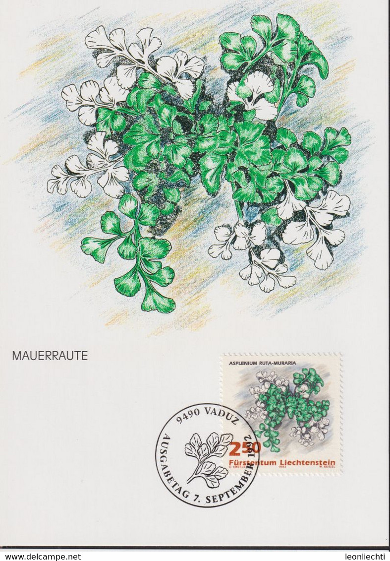 1992 Liechtenstein MC 109  Mi:LI 1048°, Yt:LI 989°, Zum:LI 990°, Farne, Mauerraute - Medicinal Plants