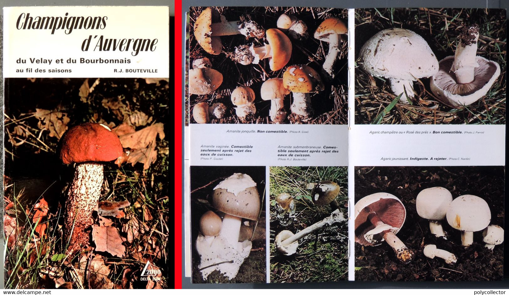 Champignons D' Auvergne, Du Velay Et Du Bourbonnais - R.J. BOUTEVILLE - Auvergne