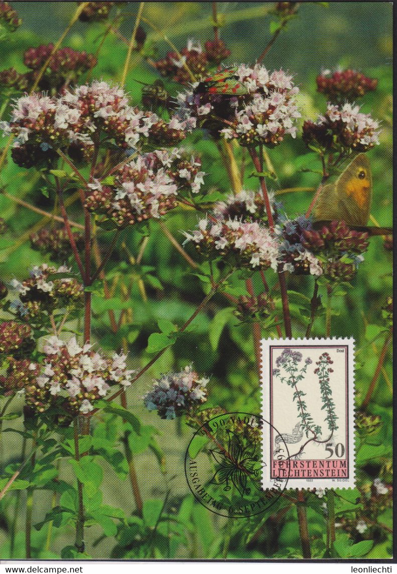 1993 Liechtenstein MC 119 Mi:LI 1069°, Yt:LI 1010°, Zum:LI 1011°, Hortus Botanicus, Magerwiesenblumen, Dost - Cartas & Documentos