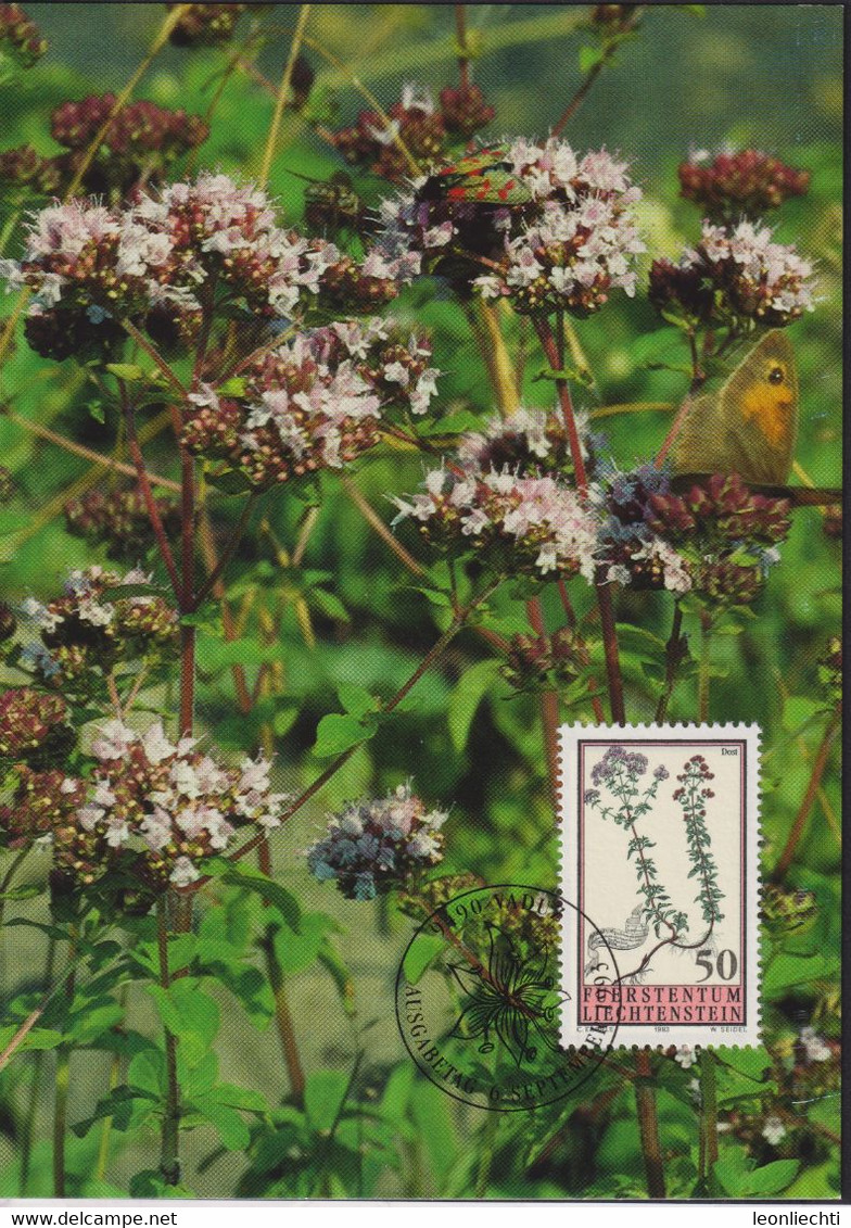 1993 Liechtenstein MC 119 Mi:LI 1069°, Yt:LI 1010°, Zum:LI 1011°, Hortus Botanicus, Magerwiesenblumen, Dost - Plantes Médicinales