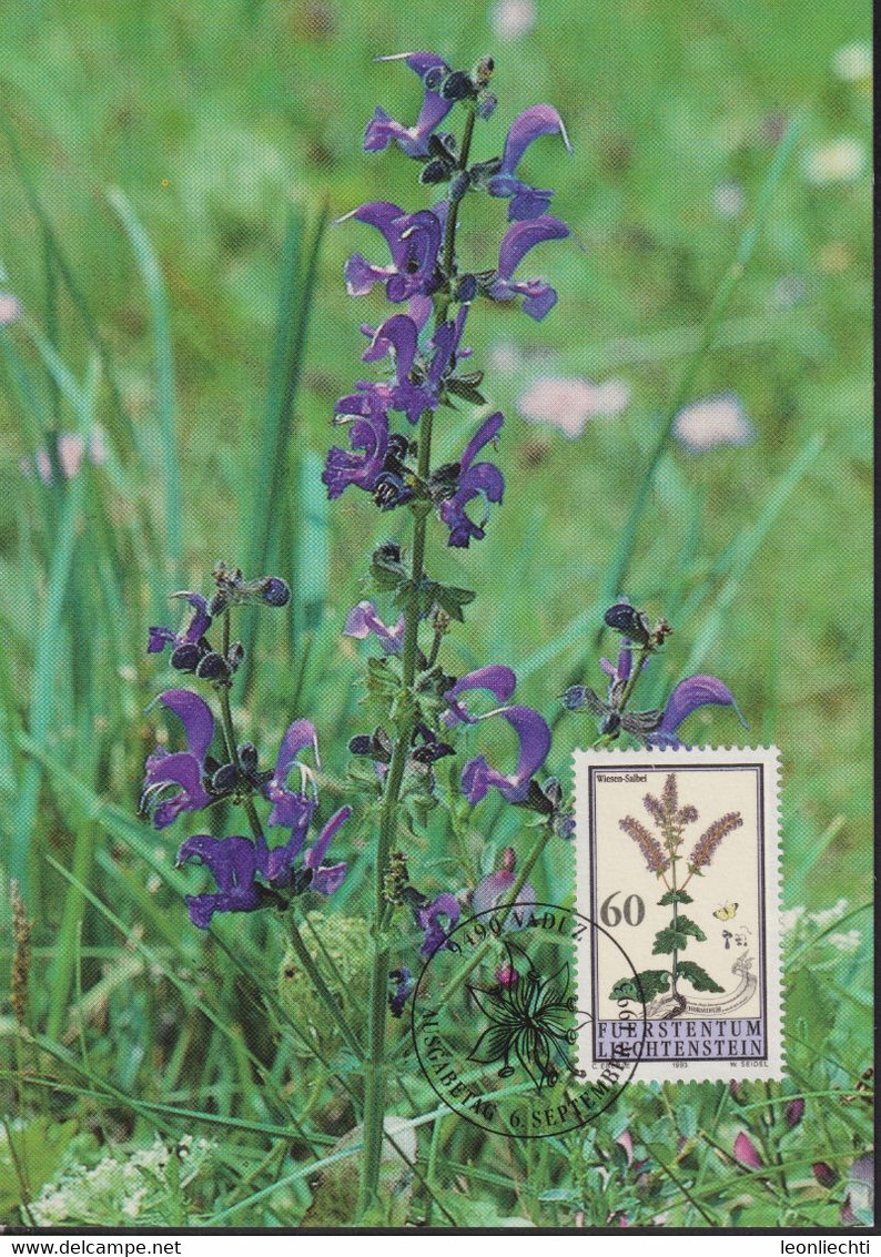 1993 Liechtenstein MC 119 Mi:LI 1070°, Yt:LI 1011°, Zum:LI 1012°, Hortus Botanicus, Magerwiesenblumen,  Wiesensalbei, - Storia Postale