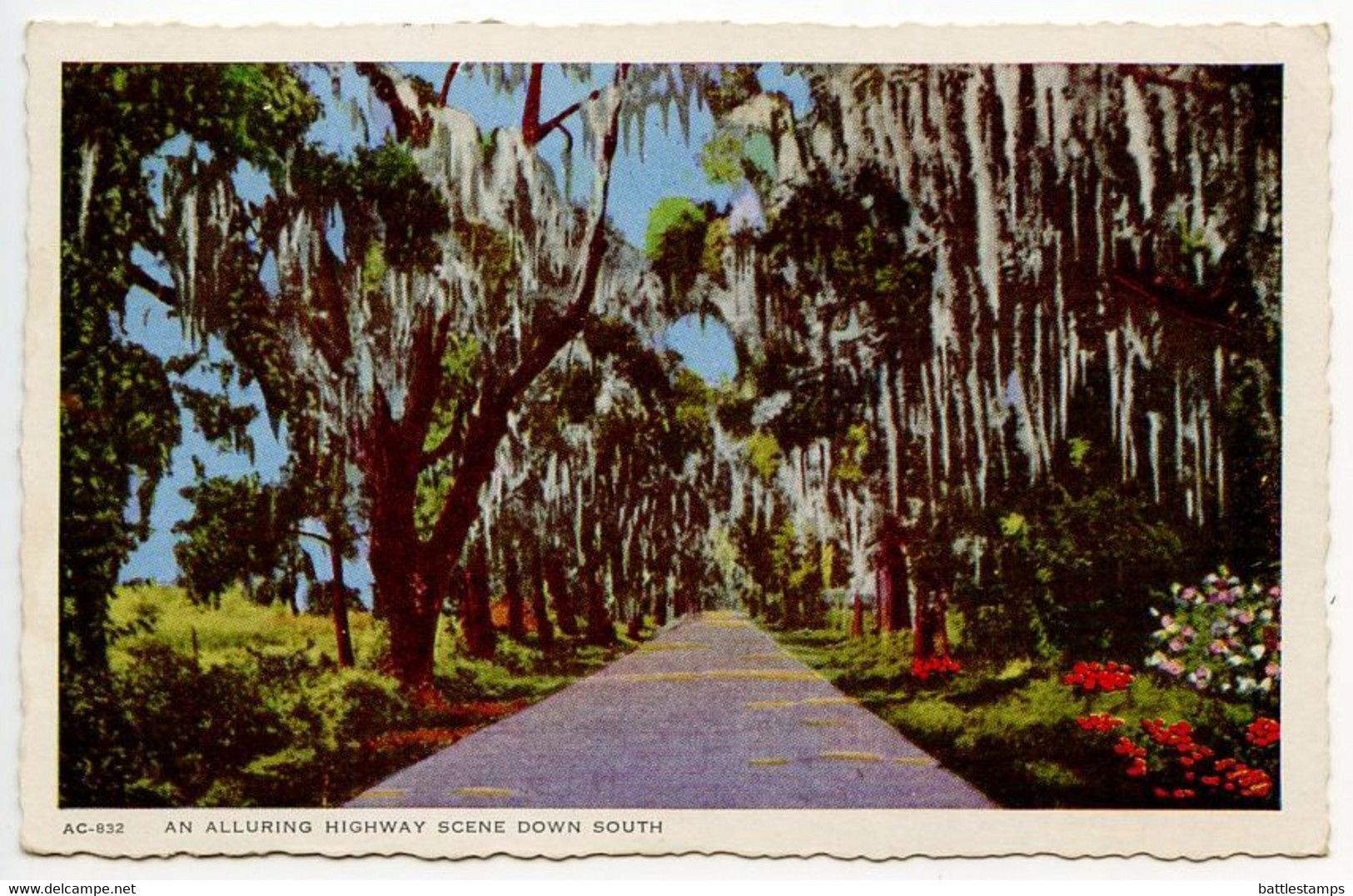 United States 1946 Postcard An Alluring Highway Scene Down South; Ham. & Jack. RPO Postmark - American Roadside