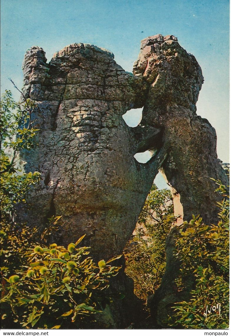 07. CPM. Ardèche. Les Vans. Bois De Paiolive, Nature Préservée Au Cœur Des Gorges Du Chassezac. Le Lion Et L'Ours - Les Vans