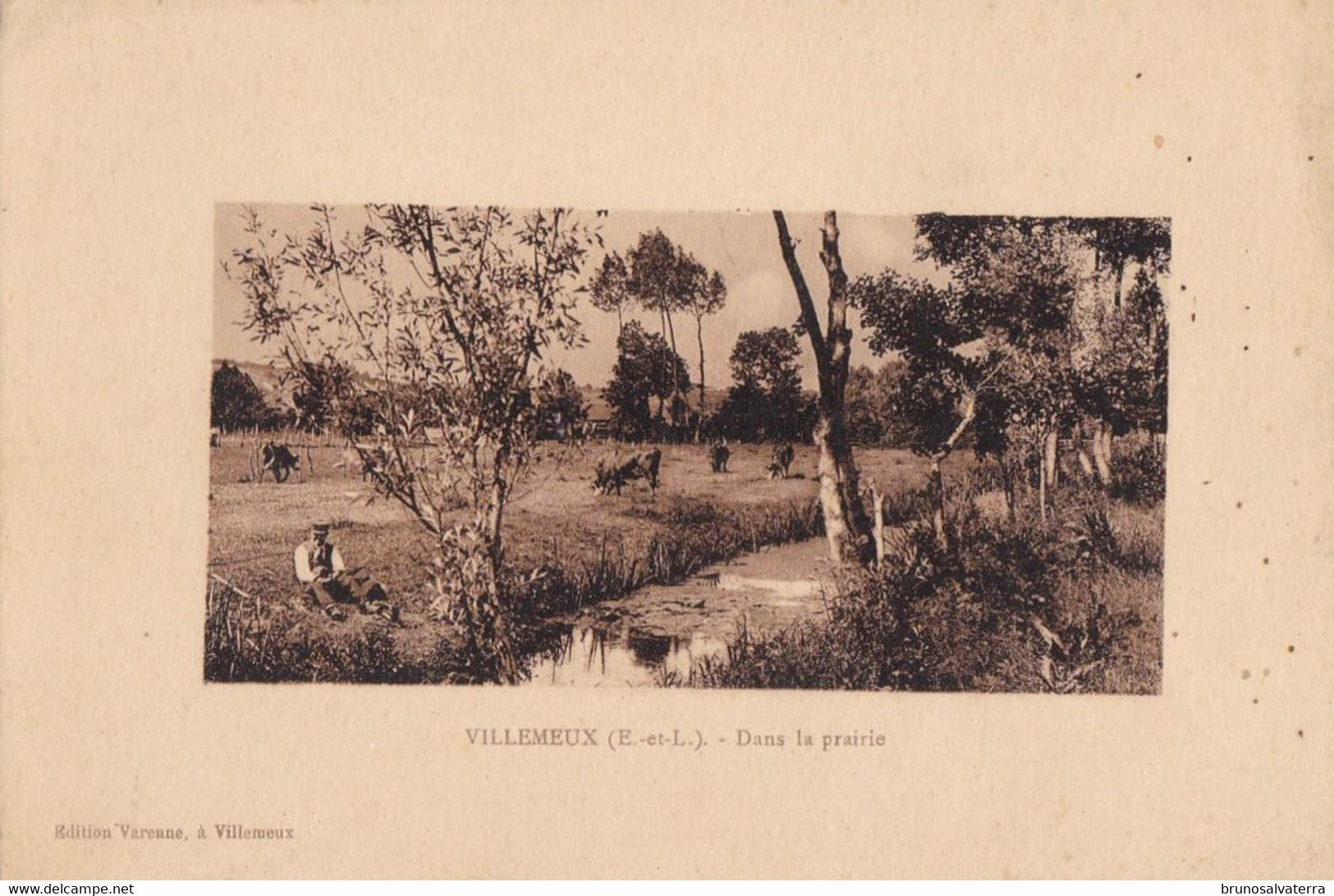 VILLEMEUX - Dans La Prairie - Villemeux-sur-Eure