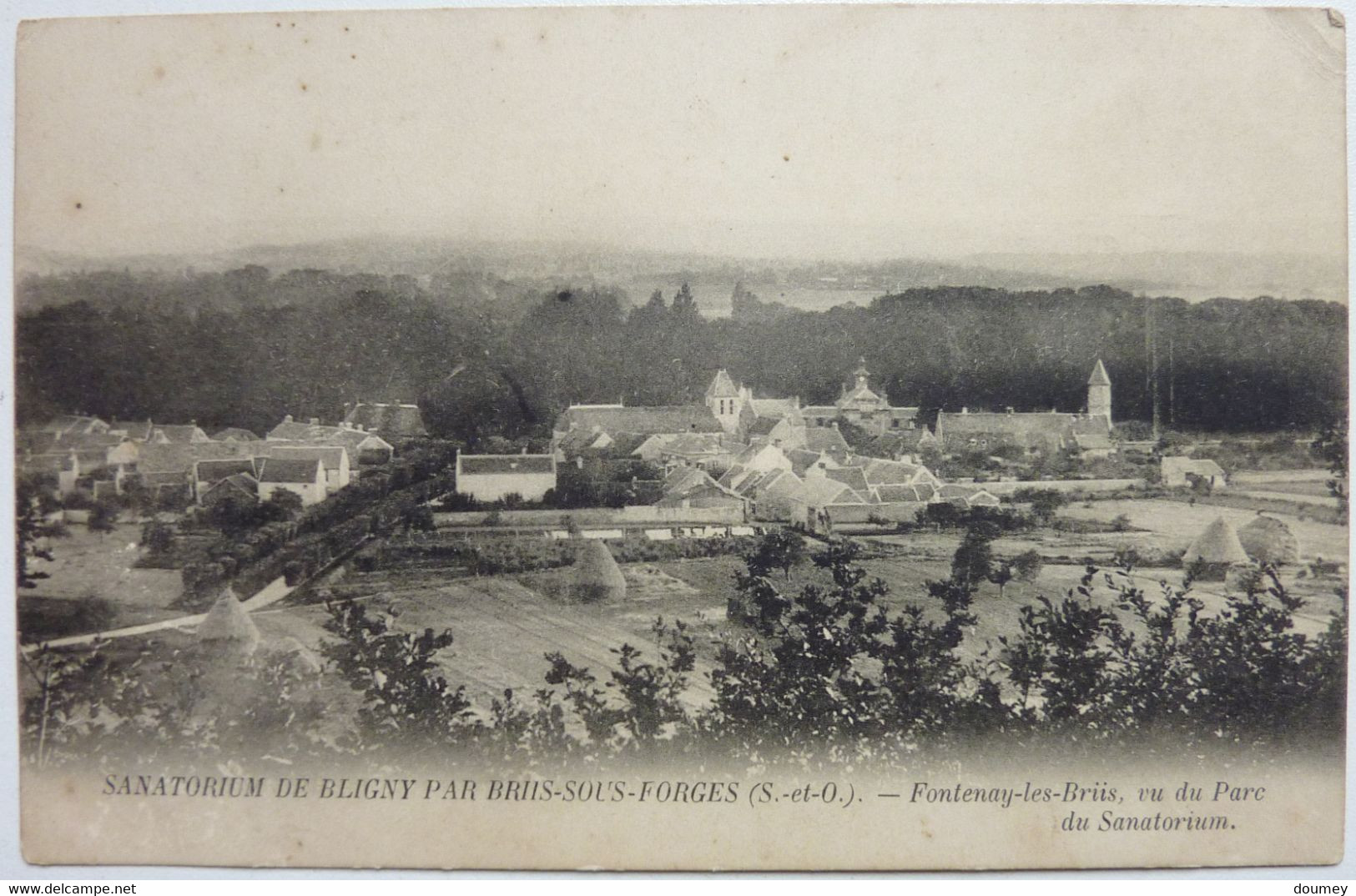 FONTENAY LES BRIIS , VU DU PARC DU SANATORIUM - SANATORIUM DE BLIGNY PAR BRIIS-SOUS-FORGES - Briis-sous-Forges