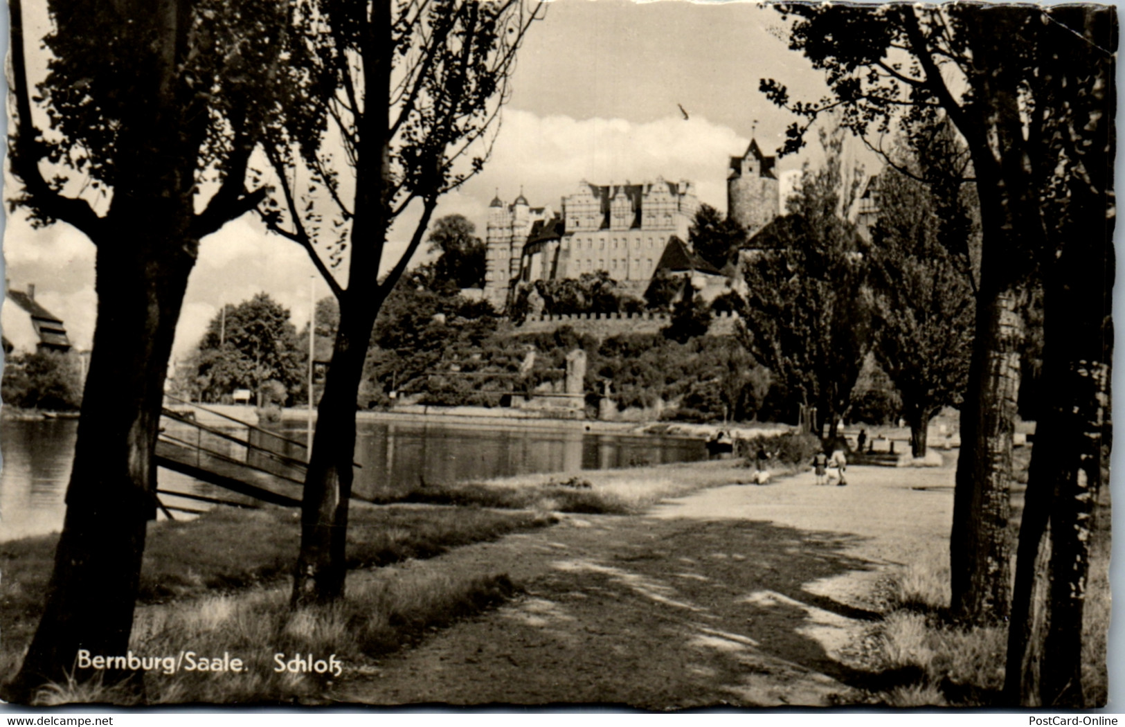 42407 - Deutschland - Bernburg , Saale , Schloß - Gelaufen - Bernburg (Saale)