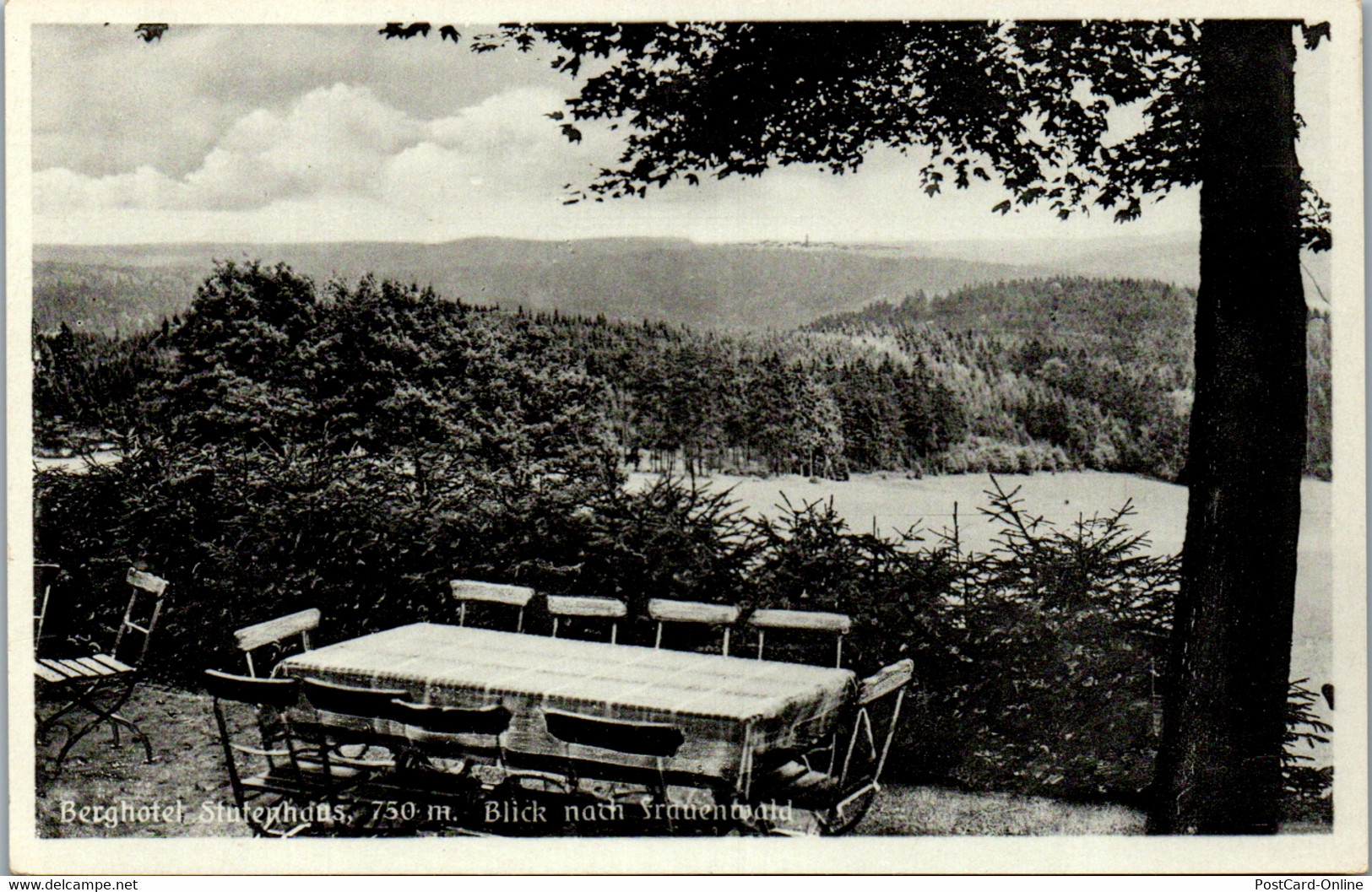 42469 - Deutschland - Schmiedefeld , Kr. Schleusingen , Berghotel Stutenhaus Am Adlersberg , Stutenwald - N. Gelaufen - Schmiedefeld