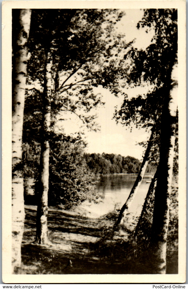 42579 - Deutschland - Arendsee , Altmark , Schramper Eck - Gelaufen 1957 - Salzwedel